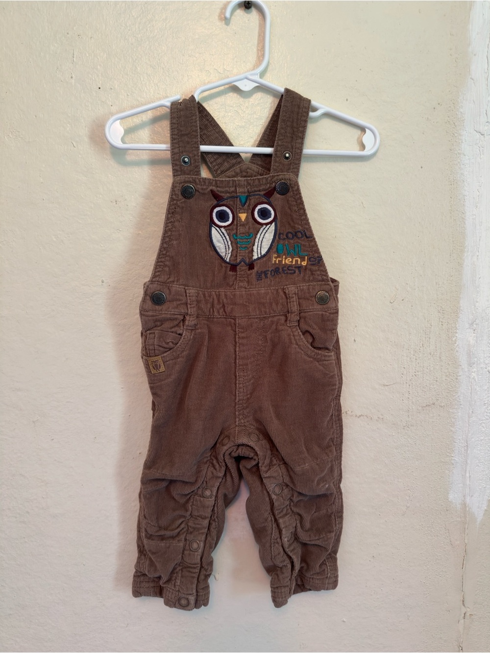 Brown Owl Embroidered Corduroy Baby Overalls